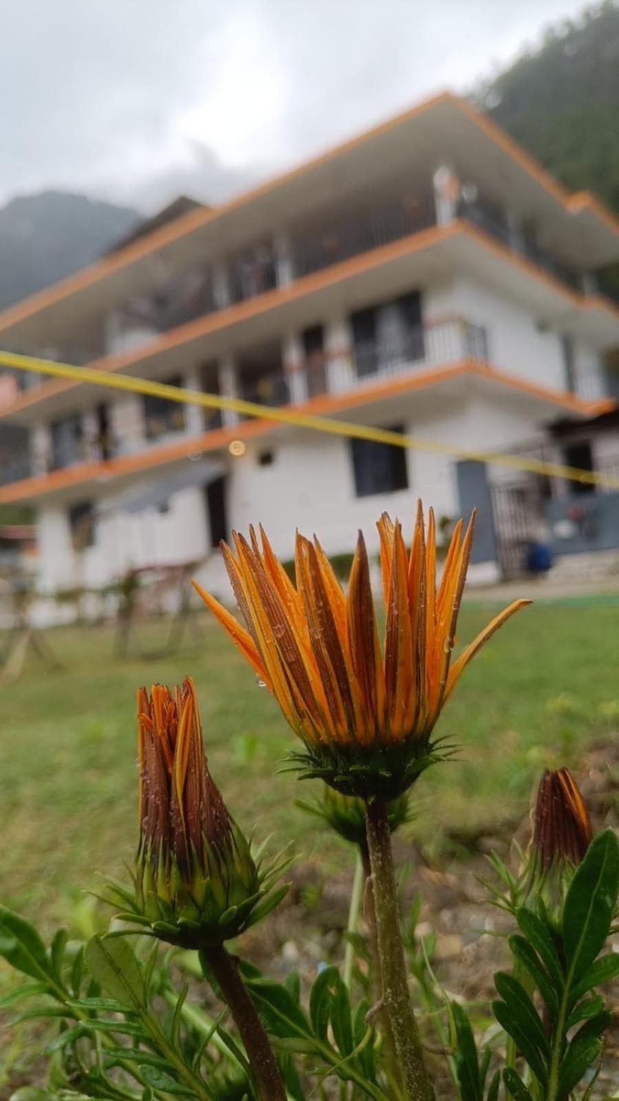 Himtrek Stay Kasol Luaran gambar