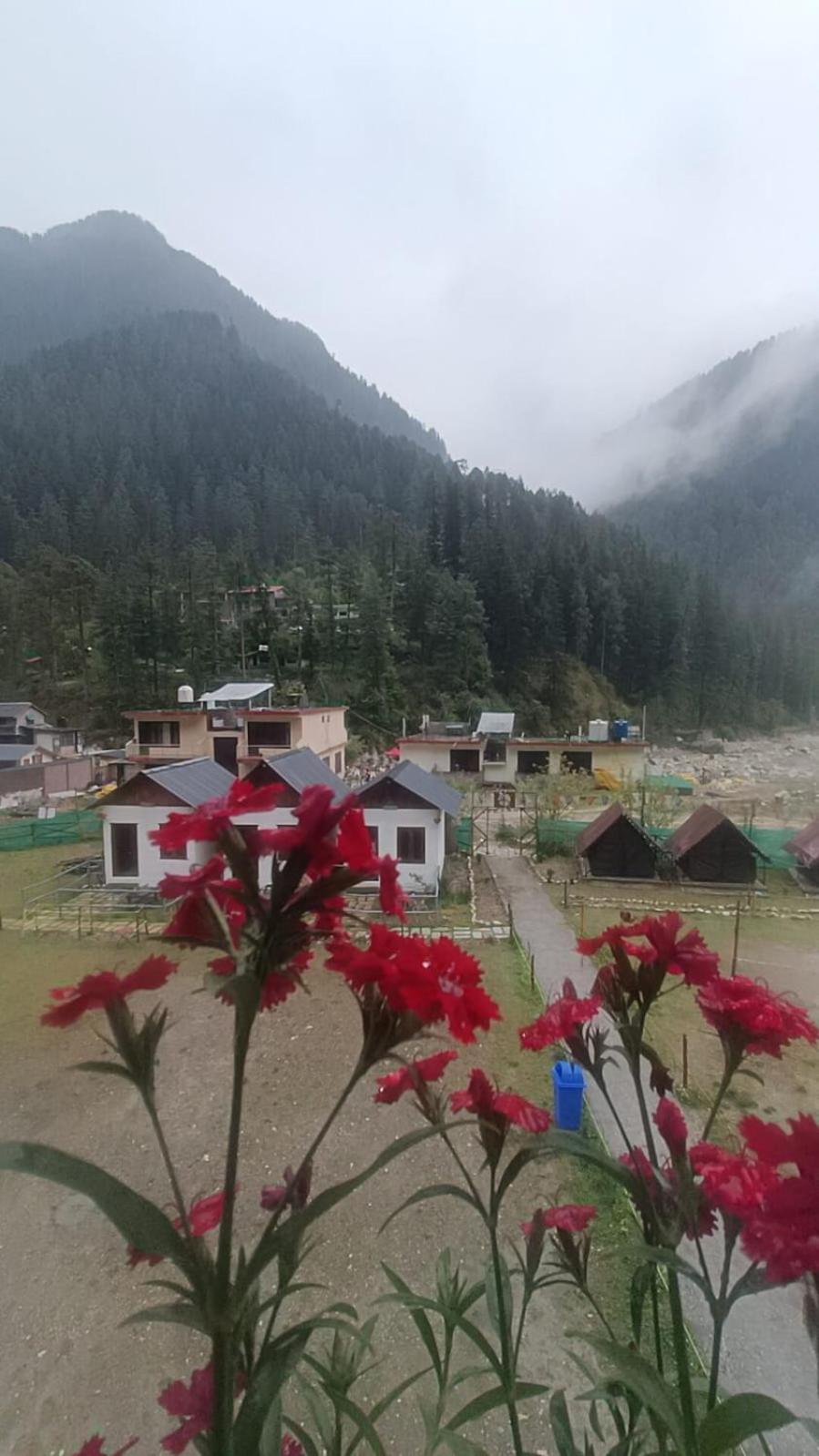 Himtrek Stay Kasol Luaran gambar