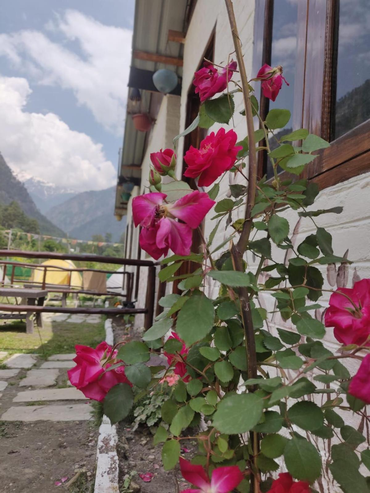 Himtrek Stay Kasol Luaran gambar