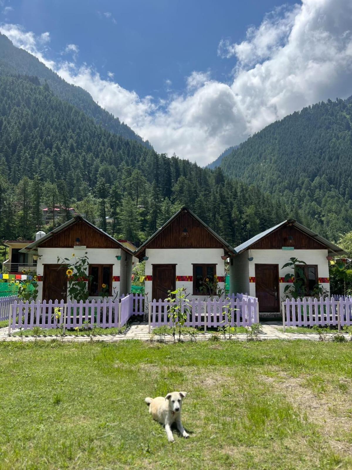 Himtrek Stay Kasol Luaran gambar