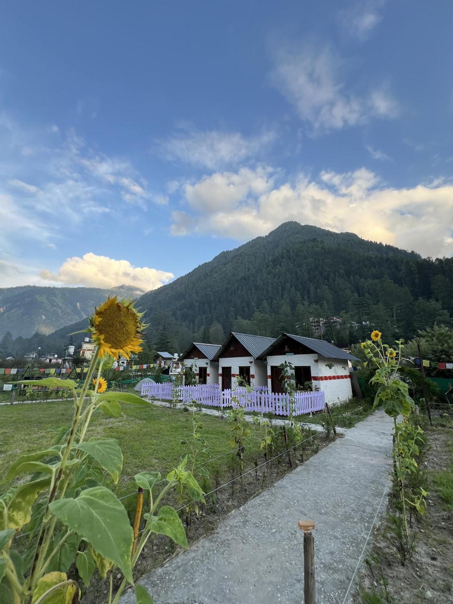 Himtrek Stay Kasol Luaran gambar