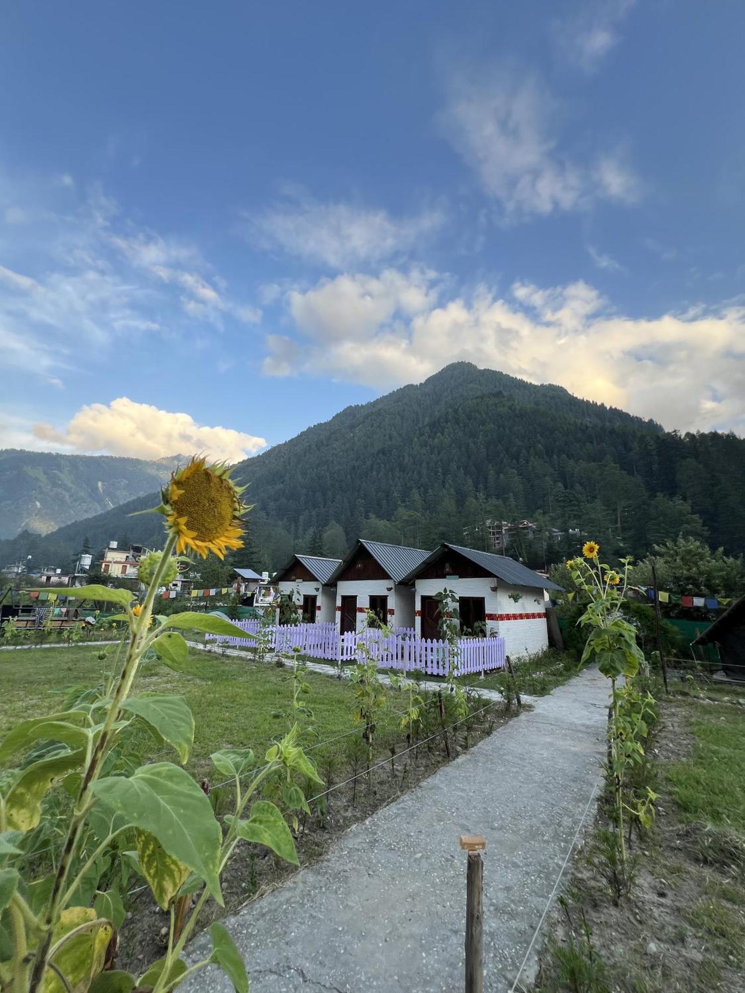 Himtrek Stay Kasol Luaran gambar